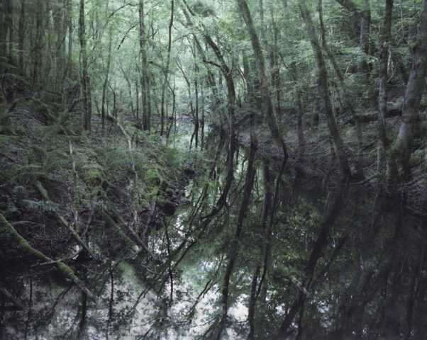A disused quarry with evidence of railway tracks.